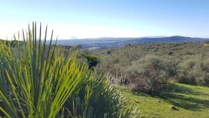 Puerto de la Duquesa: the Nature - la Nature